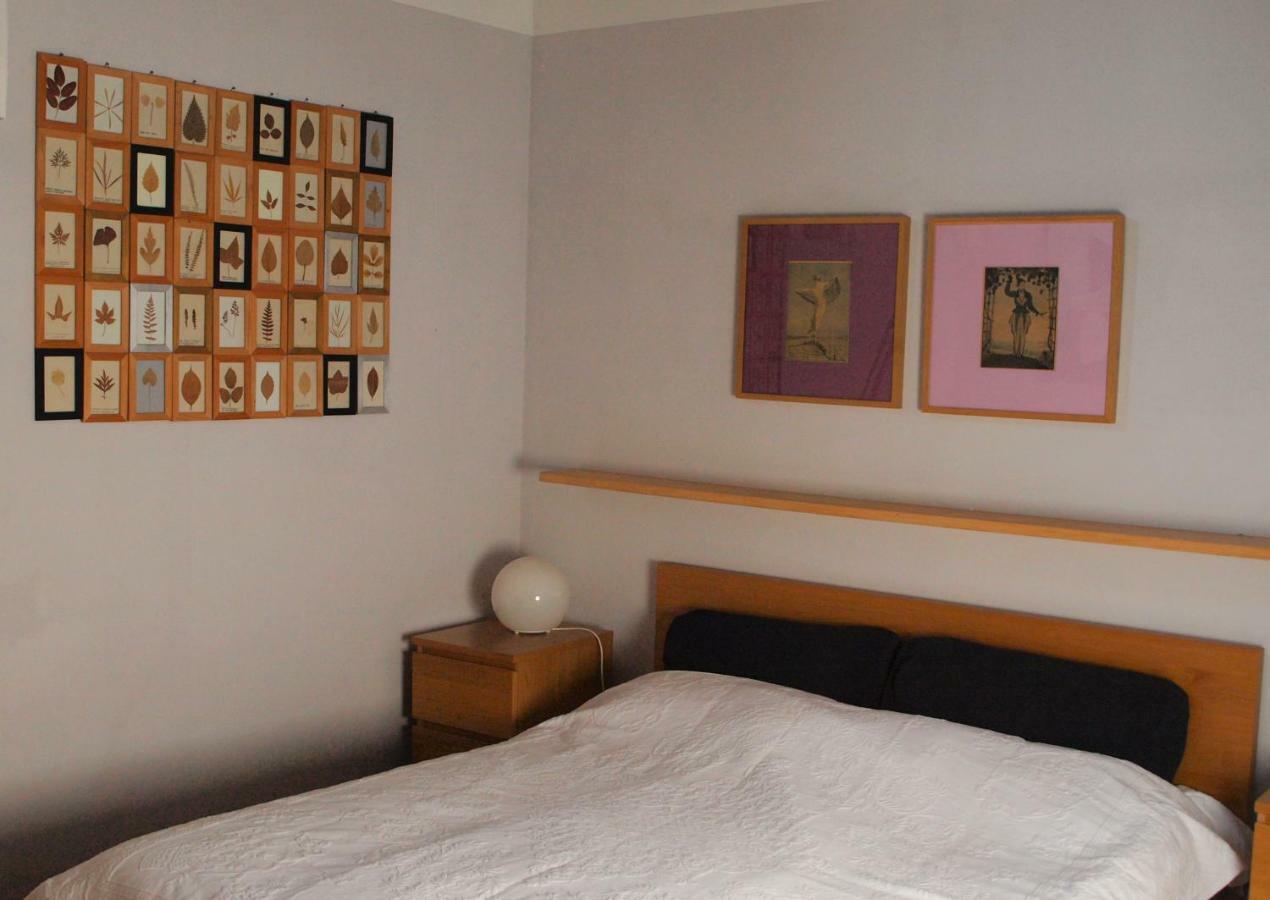 Poggio Magginga Apartment Terricciola ภายนอก รูปภาพ
